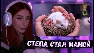 НЕЛЯ РЕЙ СМОТРИТ: СТЕПА ЗАБЕРЕМЕННЕЛ И РОДИЛ ДЕТЕЙ ‍️ | SlivkiShow