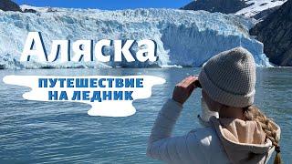 АЛЯСКА НА МАШИНЕ за 3 дня | КАК ВЫГЛЯДИТ АЛЯСКА?
