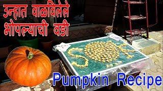 उन्हात वाळविलेले भोपल्याची वडी | Sundried Pumpkin Recipes | Summer Recipes | Shubhangi Keer