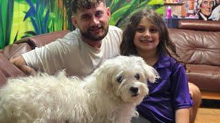 Our Animal EDventure LIVE HELP US REUNITE THIS DOG WITH ITS FAMILY