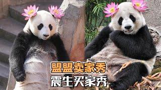 这大概就是买家秀和卖家秀吧？奶妈给华盟盟带了两朵荷花的造型，震生的奶妈看到了，给自己闺女也戴了，没想到差别这样大