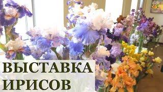 Я и не думала, что они так прекрасны! Выставка ирисов / 53 сорта в одном видео / Irises in Latvia