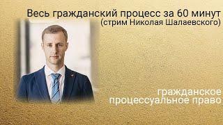 Весь гражданский процесс за 60 минут (стрим Николая Шалаевского).