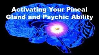 Activating Your Pineal Gland and Psychic Ability - Bernard Alvarez