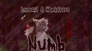 Warriors cats||Numb||Lvypool & Hawkfrost|| (Animator Tribute) (old)