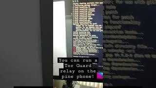 Running a Tor Guard relay From my Pinephone!!!!