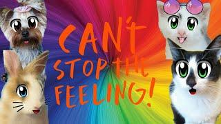 Trolls - Can't Stop The Feeling [А ну-ка Давай-ка]