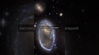 Истинный знак зодиака