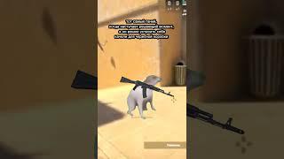 тгк:BLACK NEWS CLUB | Counter-Strike 2 #csgo #контрстрайк2 #кот #котики #кс #ксгоприколы #ксго