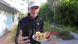 The King Of Fruit Raw Vegan Fruitarian Beneficial Breakfast  Healthy Diet Gut Health B12 Fruit-Up