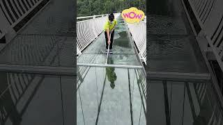 Cleaning of the transparent glass bridge#funnyvideo