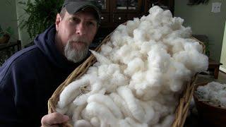 How We're Processing Our Home Grown Cotton