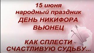 15 июня День Никифора. Вьюнец. Что нельзя делать. Ритуалы. Народные приметы и традиции.