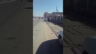 Шурчини гаилари хуррам жинни кидиришяпти(2)