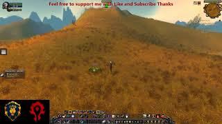Wrath Of The Lich King Classic Leveling Hunter