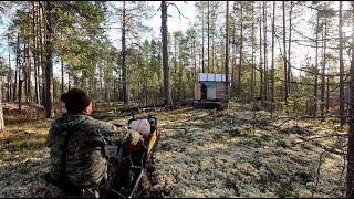 ФИГАРЮ НА МОТОСОБАКЕ К ЛЕСНОЙ ХИЖИНЕ. ЧТО СТАЛО С ХИЖИНОЙ В БЕЗЛЮДНОМ ЛЕСУ. ЖИЛИЩЕ В ДИКИХ МЕСТАХ.