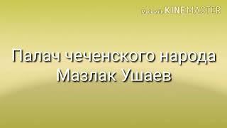 МАРЗЛАК. ПАЛАЧ ЧЕЧЕНЦЕВ. ОСКАРБЛЁНЫЙ ИНГУШОМ. МОЖЕТ ПО ЭТОМУ ЧЕЧЕНЦЫ НЕ ЛЮБЯТ ИНГУШЕЙ?