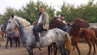 Shahidon ot bozori bugungi narhlar bilan tanishing 22.10.2024yil