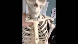 Bone Rattling 2: boned