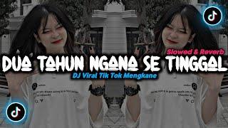 DJ Dua Tahun Ngana Se Tinggal - ( Slowed & Reverb ) 