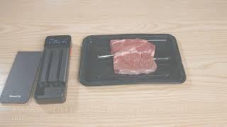 How to Use Govee Smart Wireless Meat Thermometer（2-Probe）B5192