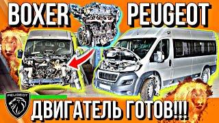 СБОРКА ДВИГАТЕЛЯ PEUGEOT BOXER///ЕСТЬ НЮАНСЫ