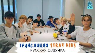 [Озвучка Dino Kpop] Трансляция Stray Kids 21.07.2021 | ОТ8! A Nice Day With STAY