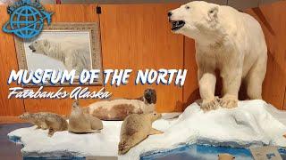 One of the best museums in Alaska (Museum of the North)