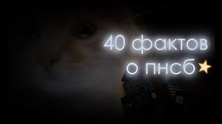 40 ФАКТОВ О ПЯТЬ НОЧЕЙ С БАРСИКОМ