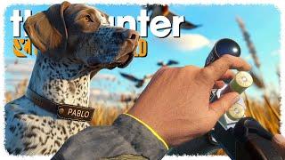 Hunting NEW BIRDS with my NEW DOG on the NEW MAP (ʰᵉ'ˢ ᵏᶦⁿᵈᵃ ᵈᵘᵐᵇ) | theHunter: Call of the Wild