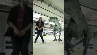 Dinosaur Dance | Blue is in a good mood 