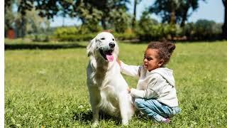 If my Dog could talk by Robin Norgren Early Reader Words on screen Preschool Kindergarten First Gr