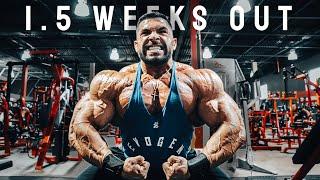 1.5 weeks out | 4 Workout special | 2023 Mr. Olympia