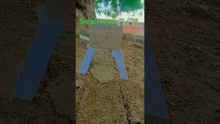 #shortvideo #for kids ️️️️️️️