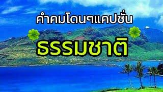 @ขอสักคม Ep.176คำคมโดนๆแคปชั่นธรรมชาติ