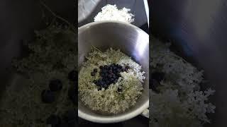 Wilde Gummibärchen Rezept