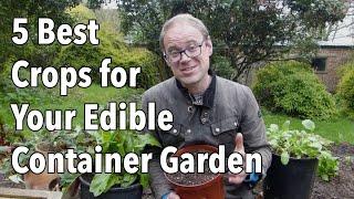 5 Best Crops for Your Edible Container Garden