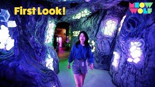 Meow Wolf's Biggest Experience Yet Is In Denver Colorado