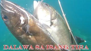 Full video Big Eye Trevally Duble Kill!!#fishing #spearfishingphilippines