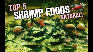 NATURAL & HOMEMADE SHRIMP FOODS!