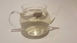 Flowering Jasmine and Lily tea