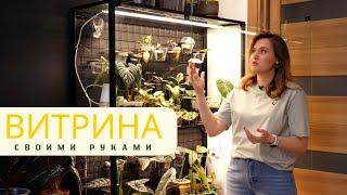 Витрина своими руками. АНАЛОГ ИКЕА. Обзор растений. Хойи