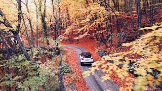 КРЫМ. БЕЗУМНАЯ КРАСОТА. БОЛЬШОЙ КАНЬОН КРЫМА, осень, дорога на АЙ-ПЕТРИ сегодня