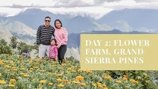 ATOK BENGUET NORTHERN BLOSSOM FLOWER FARM +GRAND SIERRA PINES HOTEL ROOM TOUR