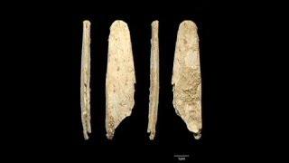 Bone tools discovery explodes myth of unskilled Neanderthals