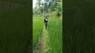 NGAPAIN YA !!!!!!??????