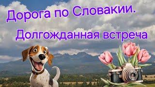 ДОРОГА ПО СЛОВАКИИ.ДОЛГОЖДАННАЯ ВСТРЕЧА С ДЕТЬМИ И ВНУКАМИ.КАК ВСТРЕТИЛАСЬ РОКСИ С ХОЗЯИНОМ?