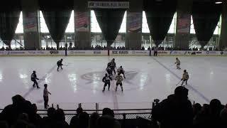 Upper Arlington vs Olentangy Liberty - OHSAA State Tournament - Center Ice - 3/2/25 @ Ice Haus