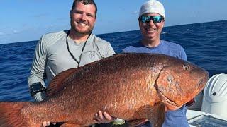 Huge cubera snapper 1st Place Saint Pete open ￼