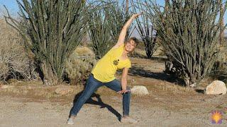 Release Your Fascia and Increase your Energy with Sherry Zak Morris | Certified Yoga Therapist